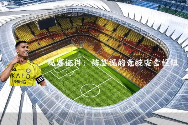 观赛证件：被忽视的竞技安全枢纽